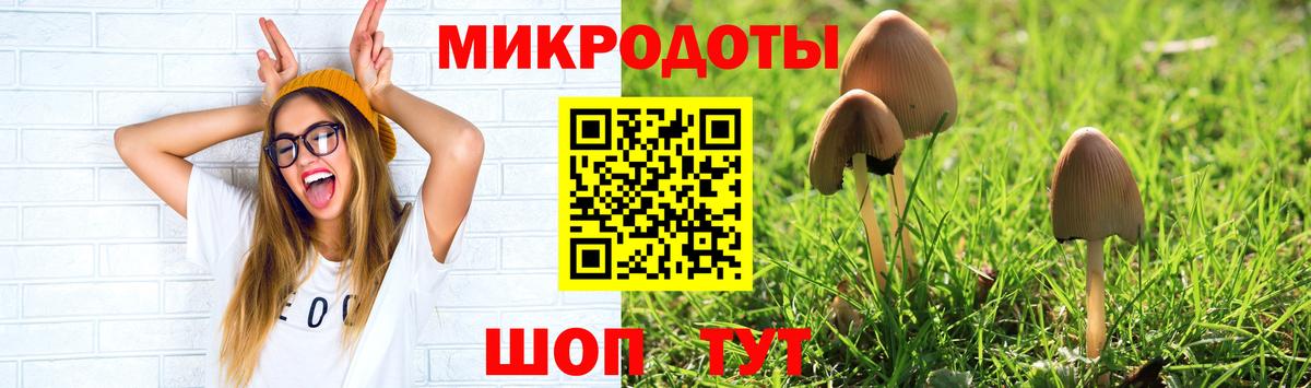 наркотики  Псилоцибиновые грибы мицелий  Вход с VPN  Лесозаводск 