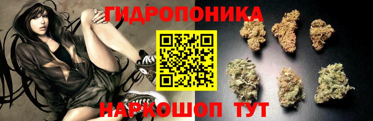 Конопля Ganja Лесозаводск